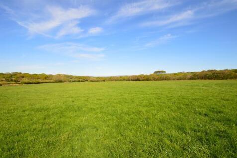 The Land
