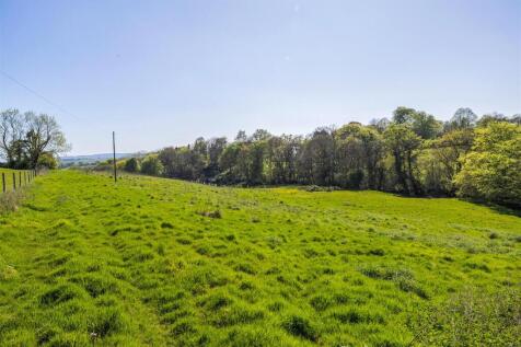 Woodland Meadow.