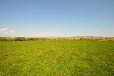 The Land