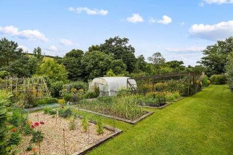 Vegetable Garden