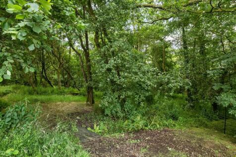 Woodland