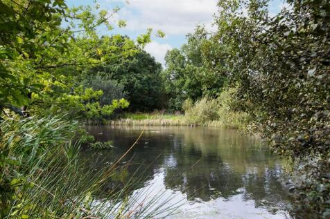 Wildlife Lake