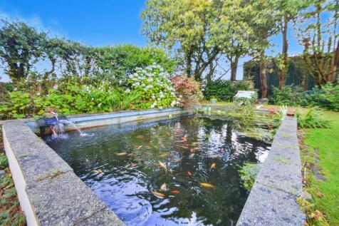 Pond