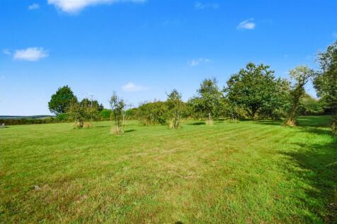 Paddock Orchard