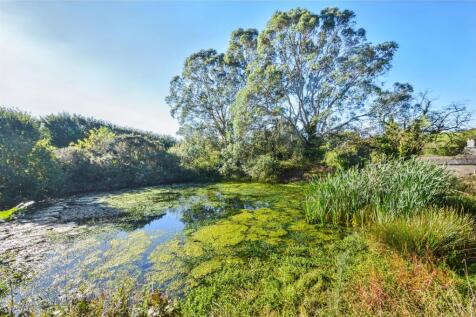 Wildlife Pond