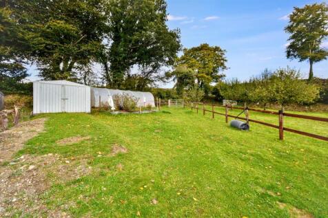 Store &amp; Polytunnel
