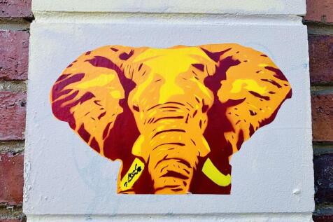 UP BRISTOL - 0117...