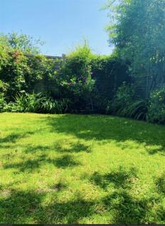 IMG_6155.jpeg