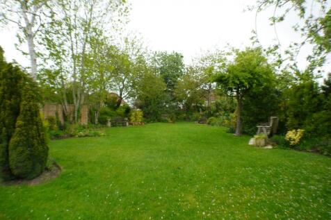 Communal Garden