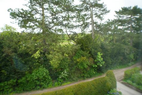 View  from Living Ro