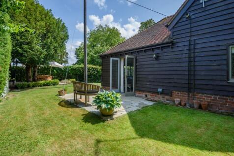 Back Garden