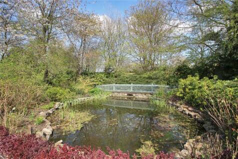 Pond