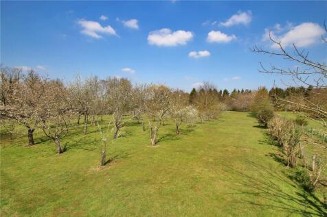 Orchard