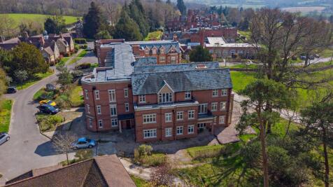 Drone View