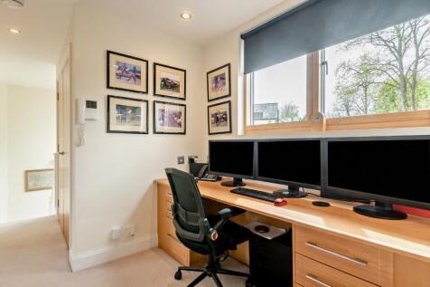 Study Area