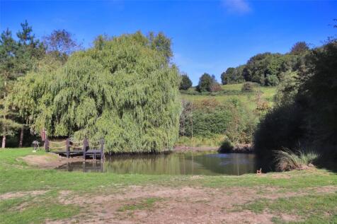 Pond