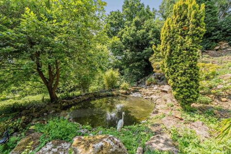 Pond
