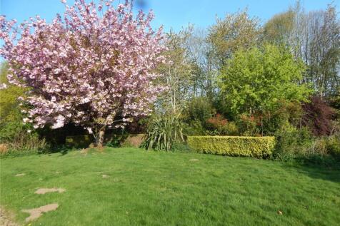 Garden 2