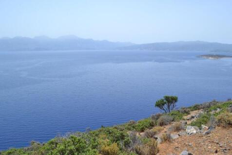 PLEL18 - view from the plot