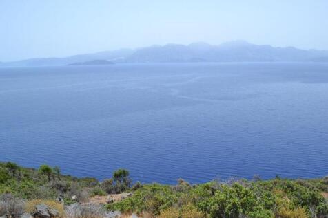 PLEL18 - view from the plot