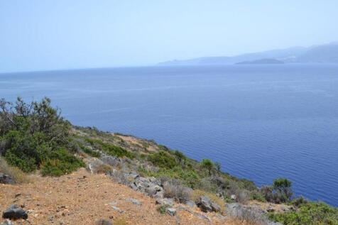 PLEL18 - view from the plot