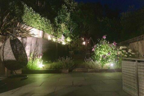 Garden At Night