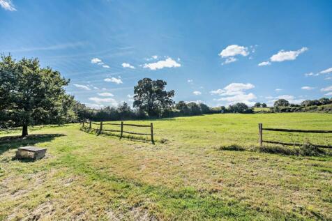 Meadow