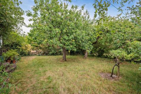 Orchard