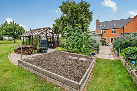 Vegtable Plot