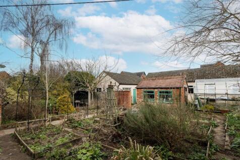 Veg Patch / Workshops