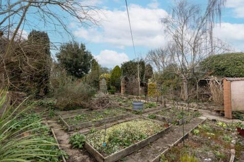 Vegetable patch
