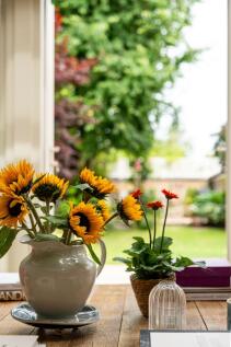 Garden views