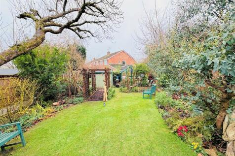 garden (2).jpg