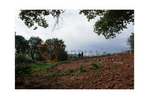 Land for sale in Silves