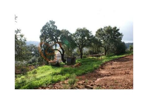 Buy land with viability of construction in Silves