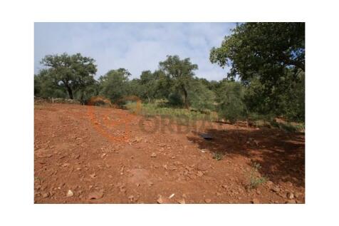 Land for sale in Silves