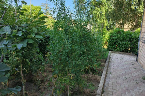 Property Image 55