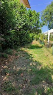 Property Image 59