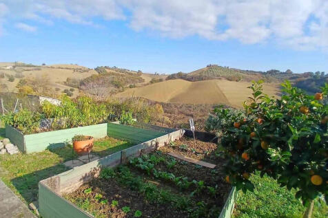 Property Image 43