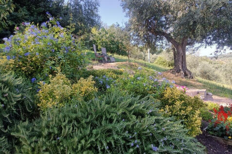 Property Image 52