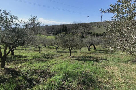 Property Image 60