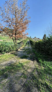 Property Image 66