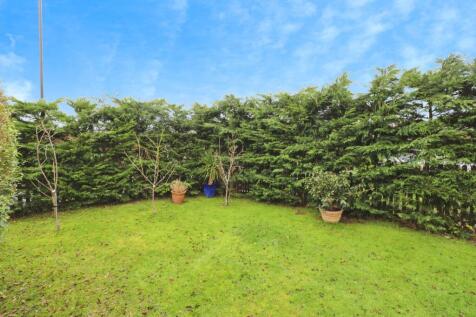 Garden (1)