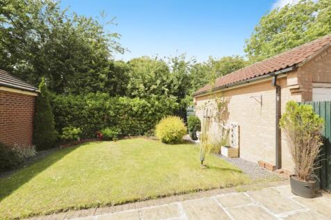Rear Garden (2)