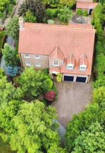 Drone Shot