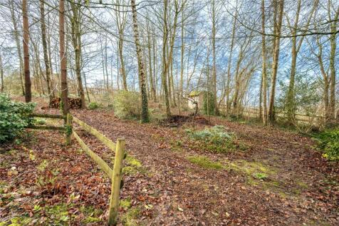Woodland