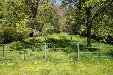Orchard
