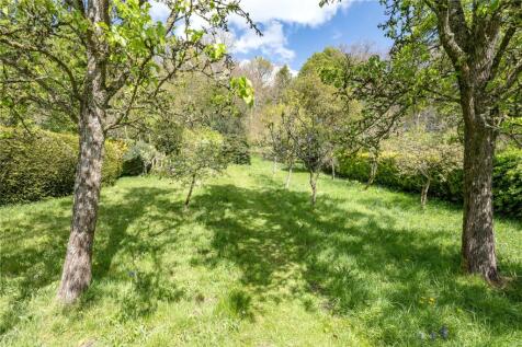 Orchard