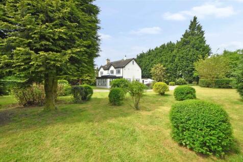 Property Image 44