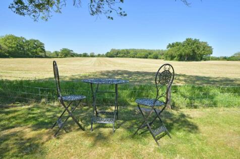 View from the garden